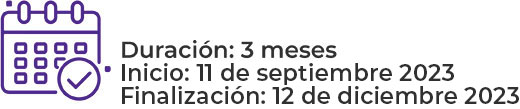 3 meses 3 meses